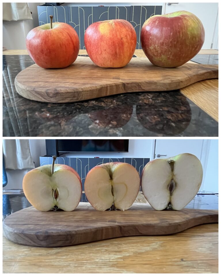 Apple Varieties tasting