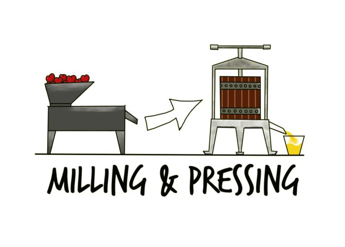 How cider is made - 3. Milling and Pressing