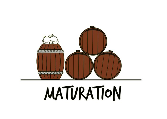 How cider is made - 5 Maturation squared